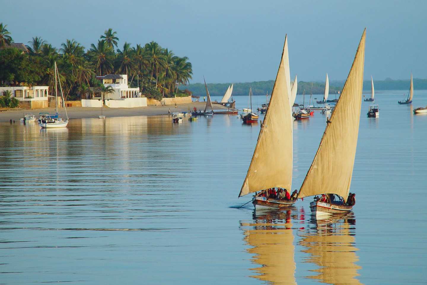 Best of 2018 - peponi lamu
