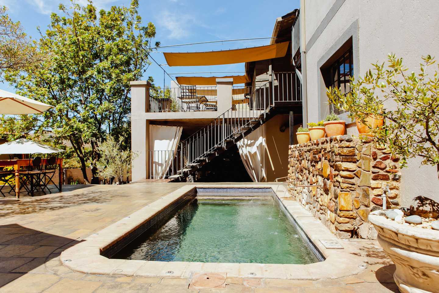 24 hours in windhoek - olive grove