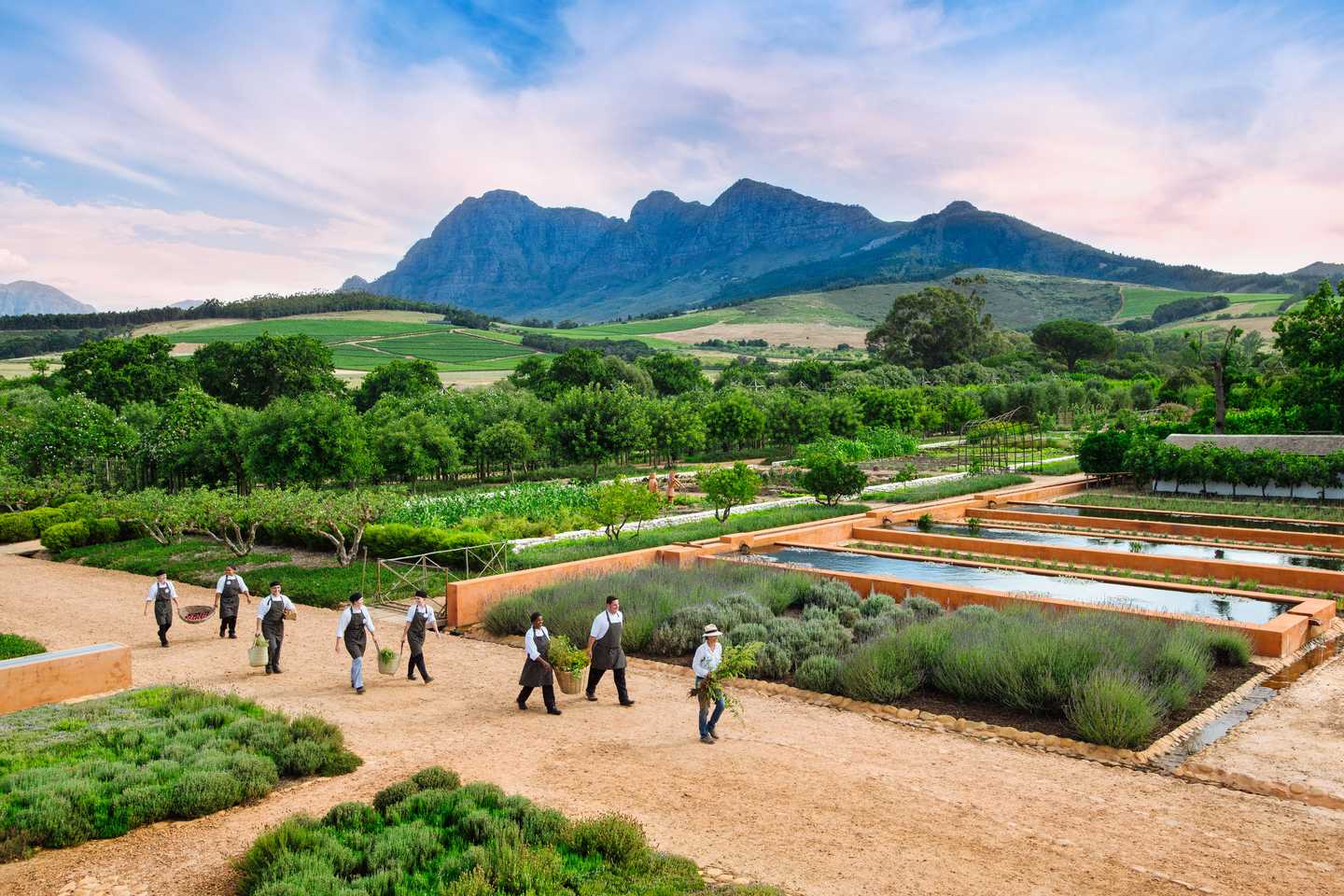 Best wellness safaris - babylonstoren