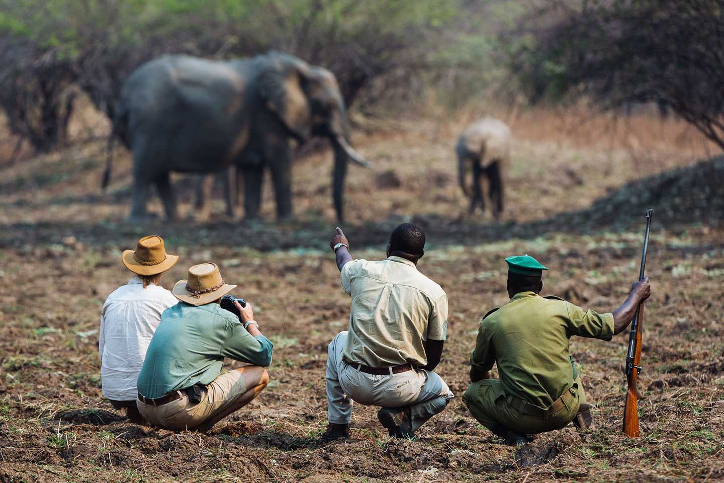 Tips for Photography on Safari - luangwa activities