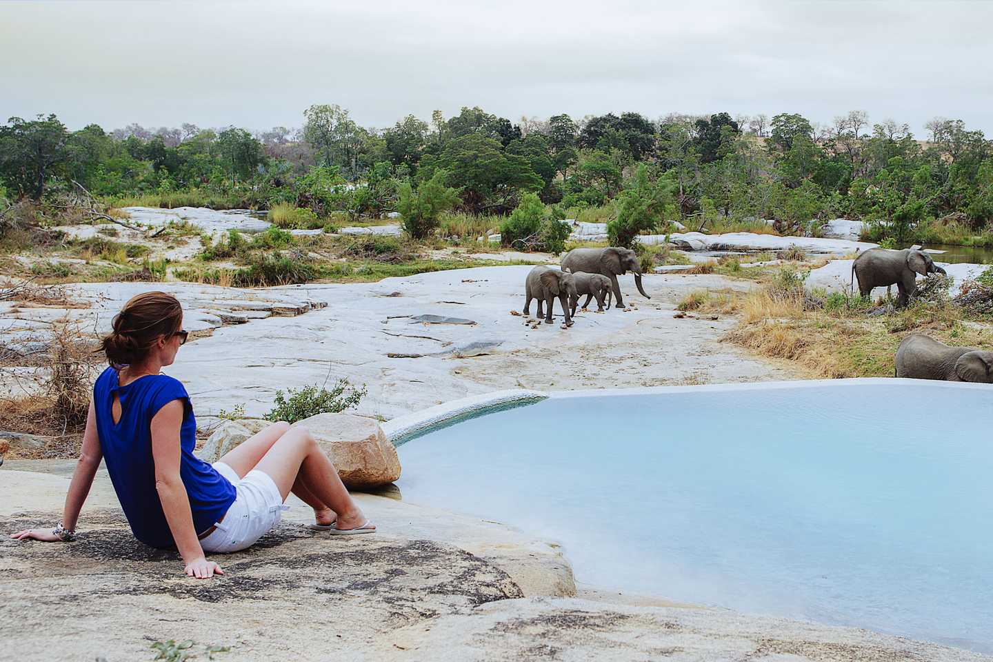 Safari essentials - londolozi