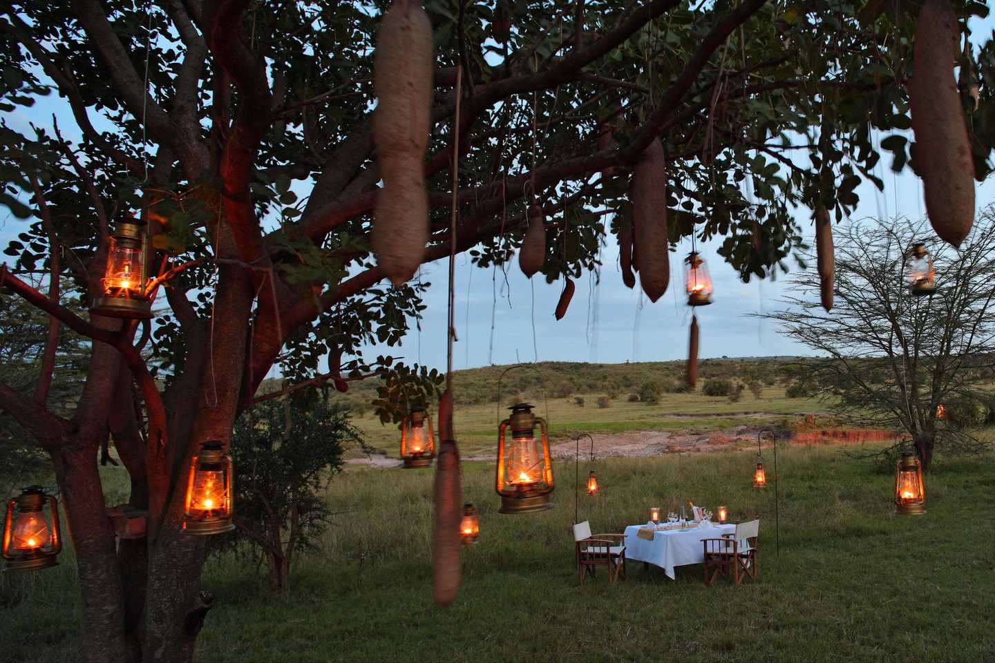 A day on safari - mara bushtops