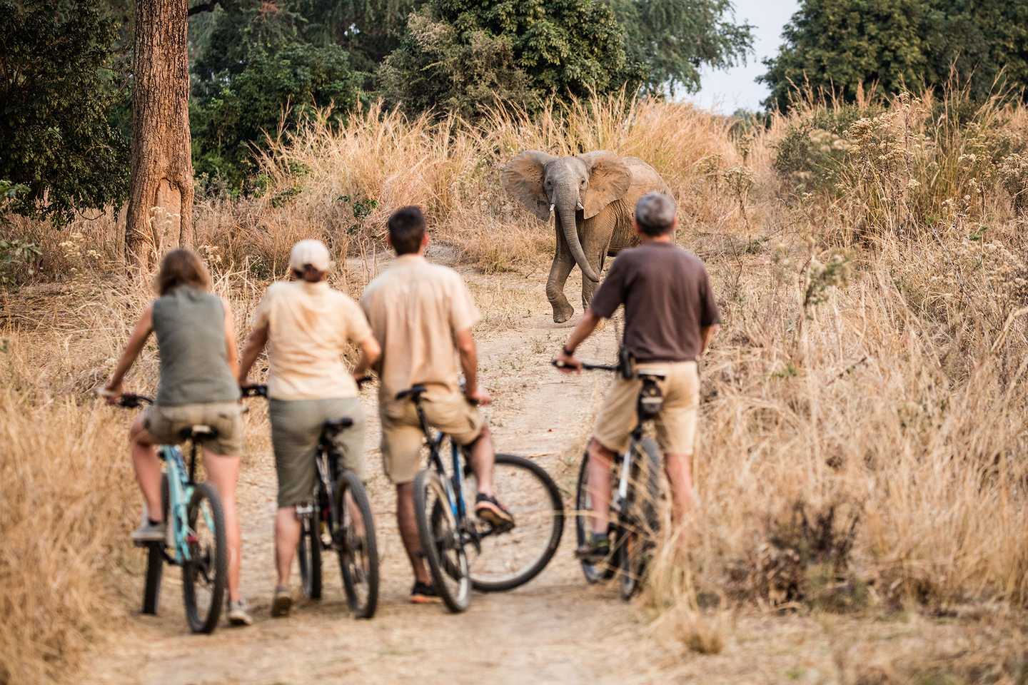 Best wellness safaris - tafika