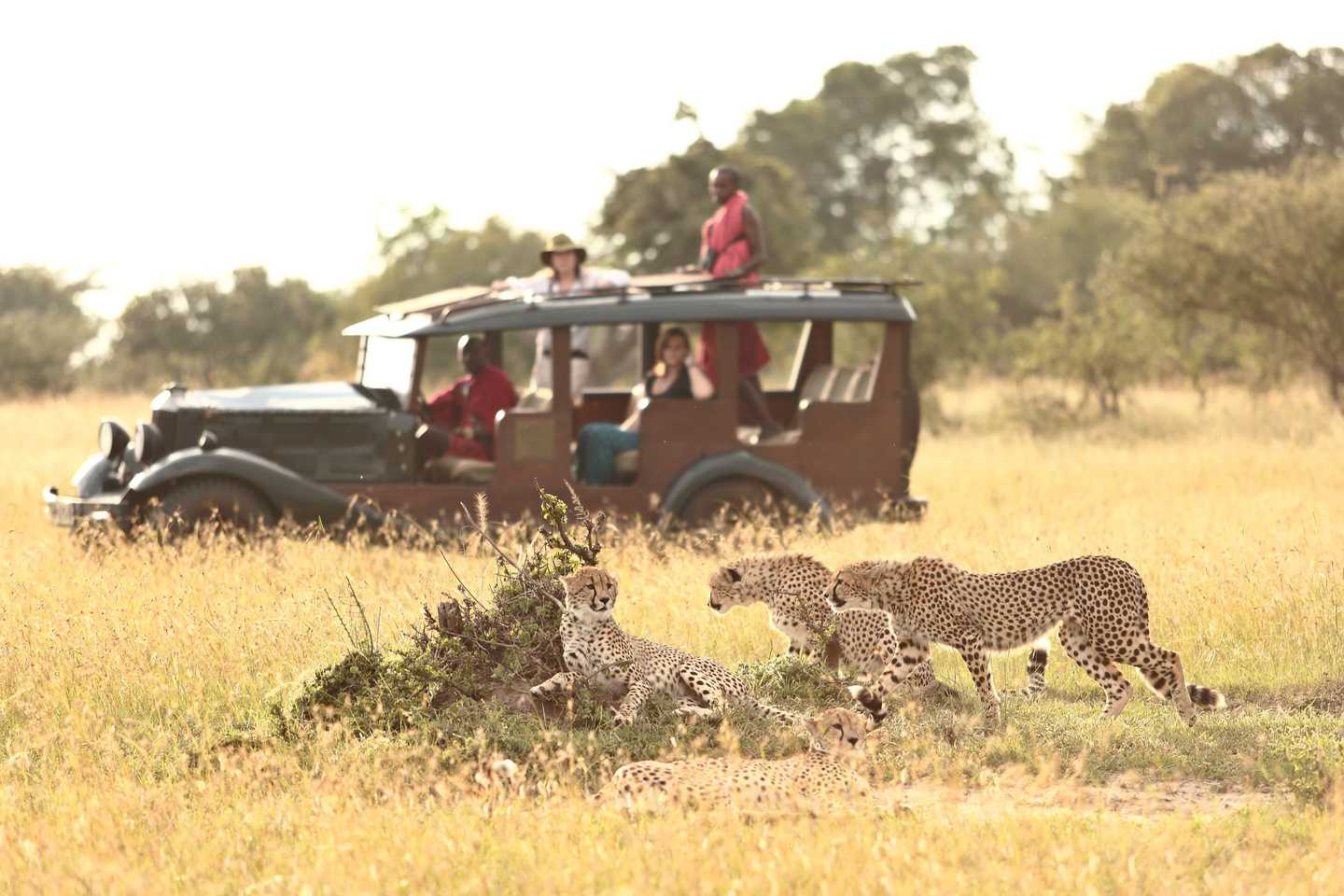 Safari essentials - cottars 1920 camp