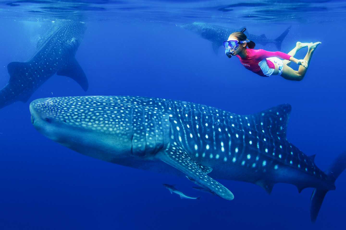 Undiscovered Indian Ocean - mafia island