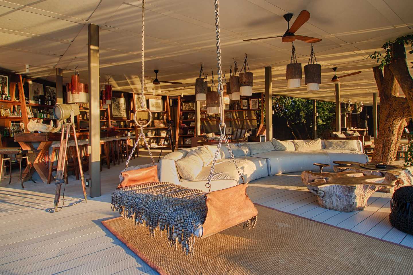 Top 5 safari libraries in Africa - chinzombo south