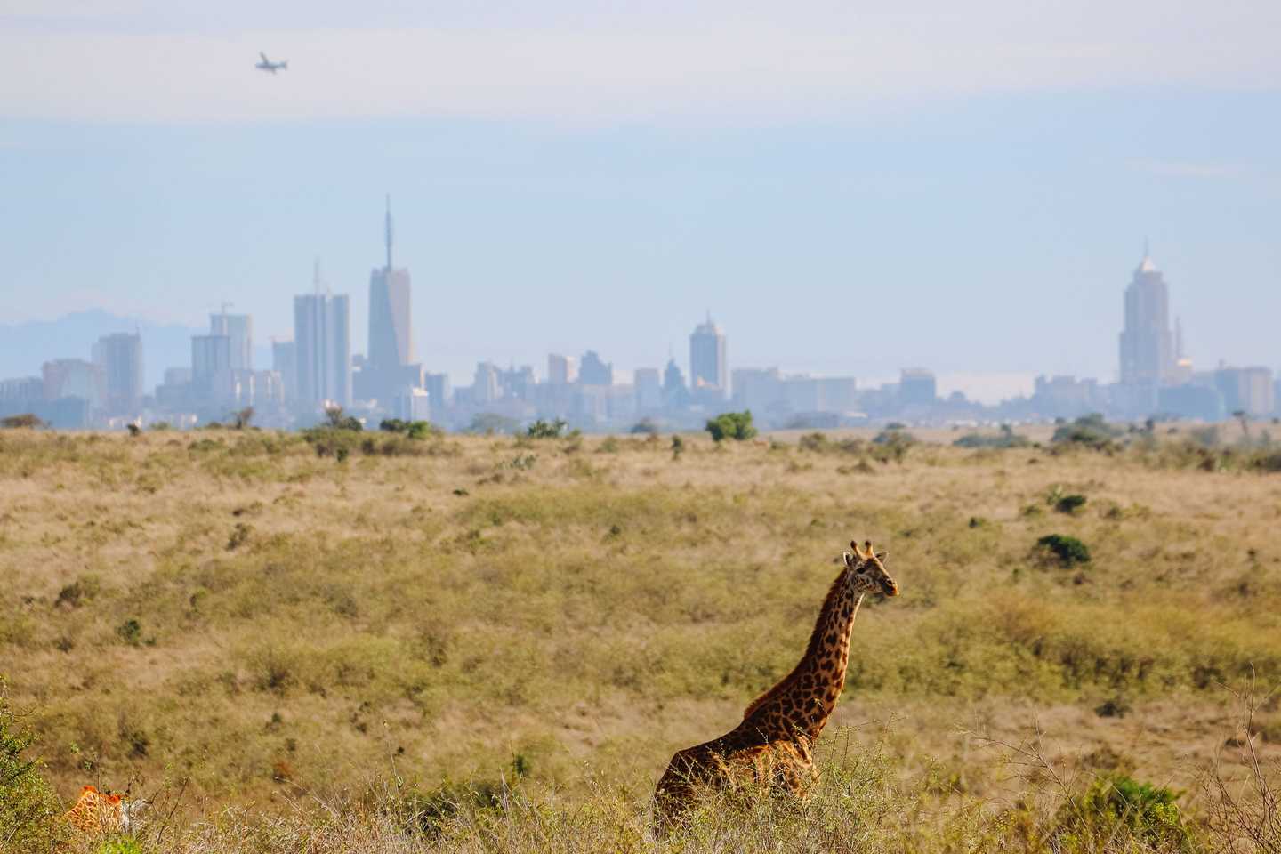 Timbuktu on the road - nairobi