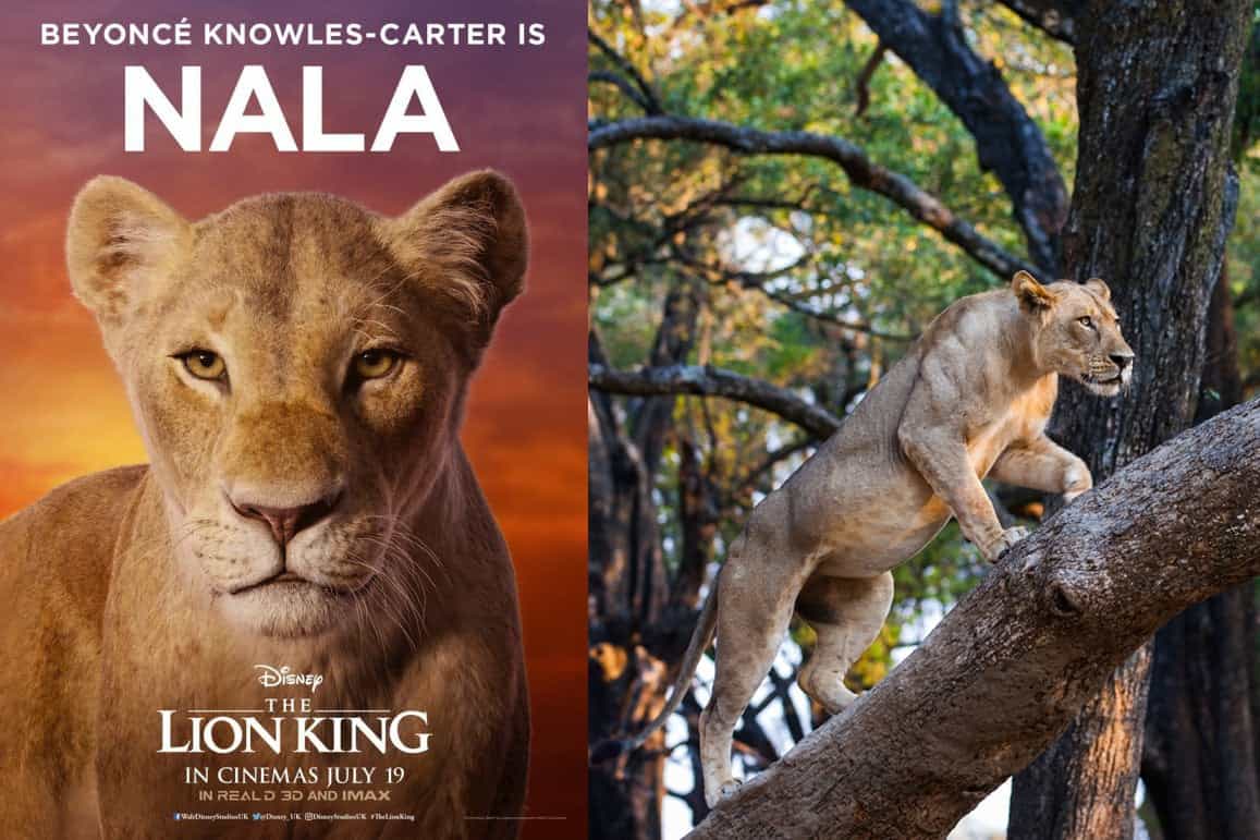 Lion King Characters