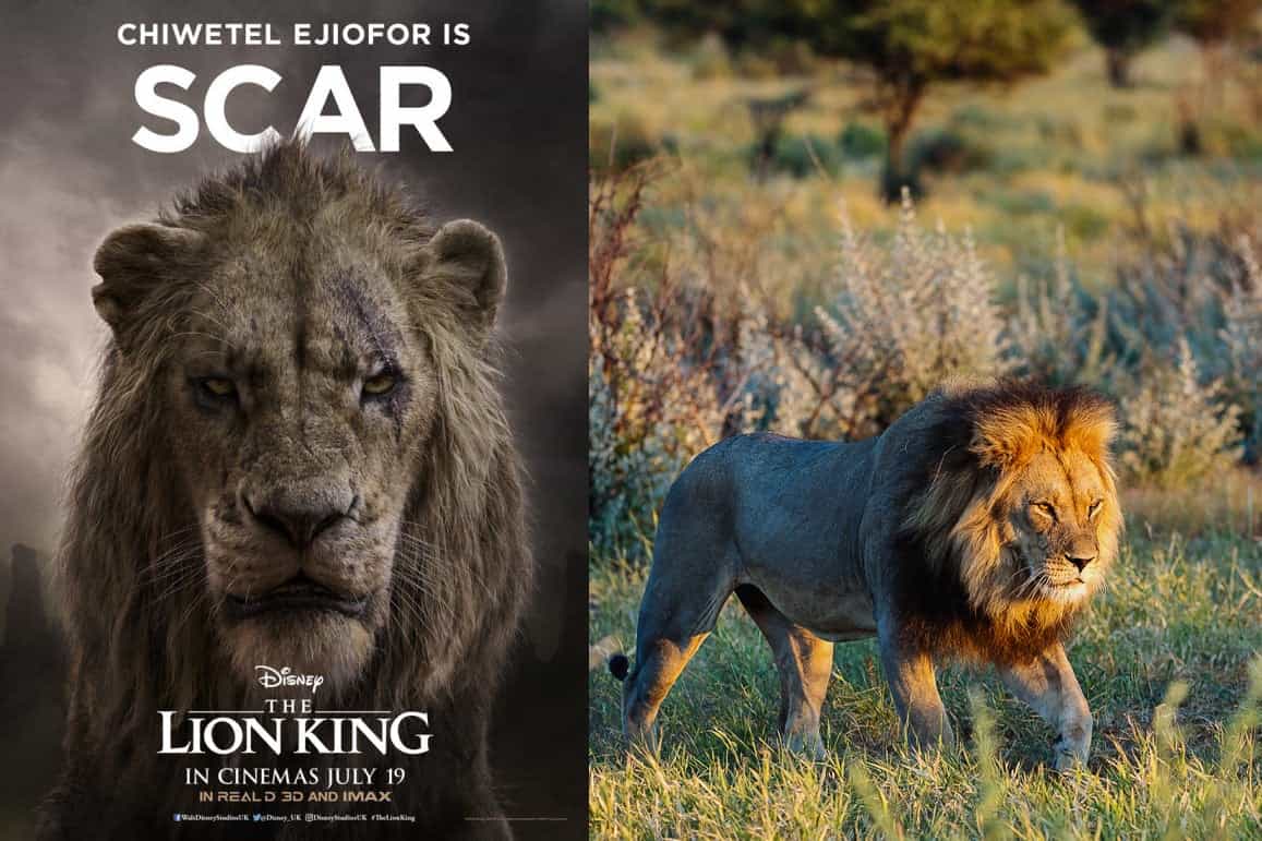 Lion King Characters