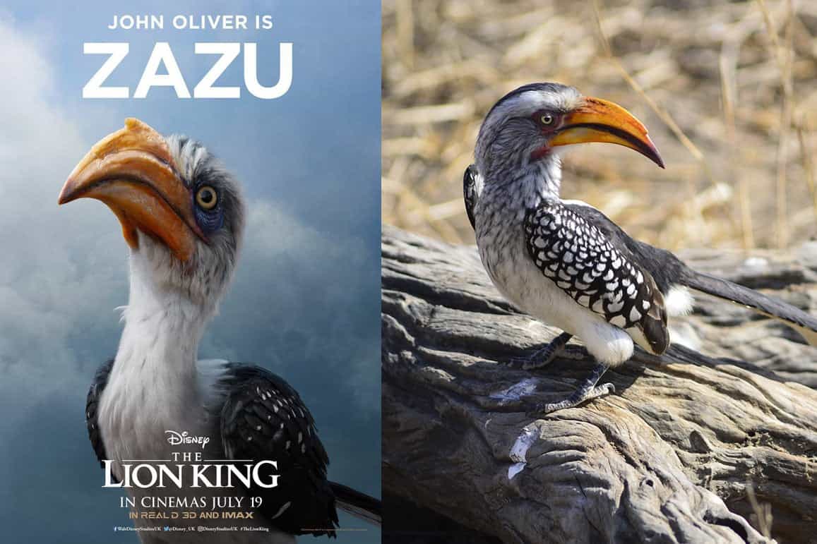 Lion King Characters