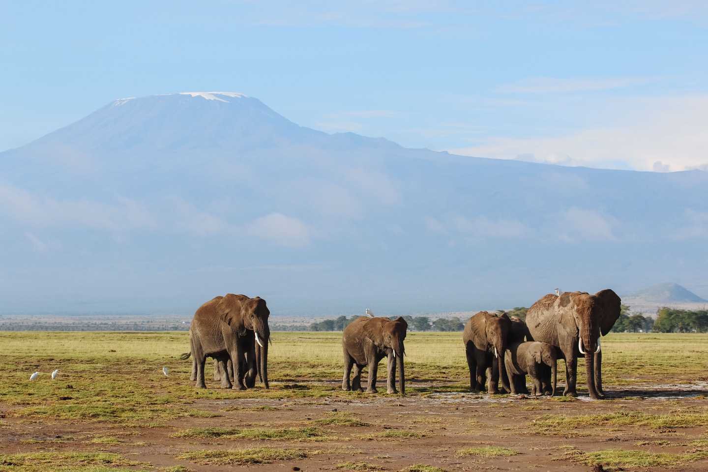 Timbuktu on the road - amboseli