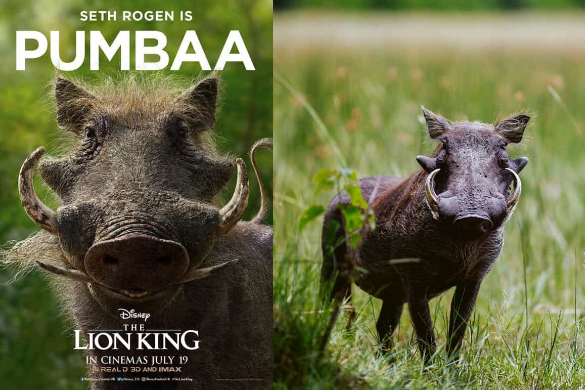 Lion King Characters