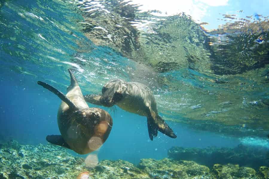 best time to visit Ecuador