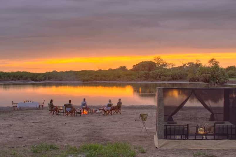 Take A Walk On The Wild Side