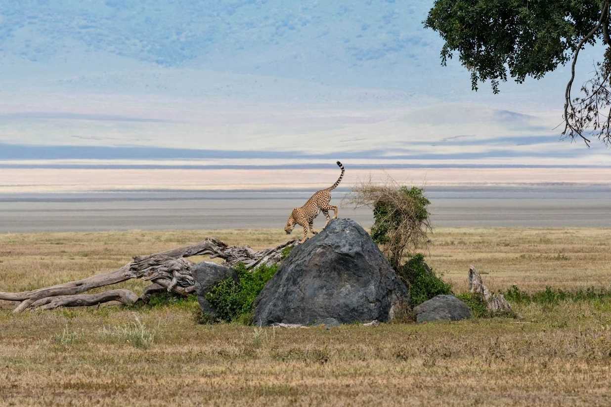 Where To Escape To This Winter