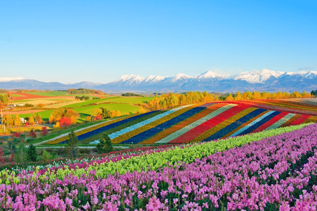 Reasons to visit Japan