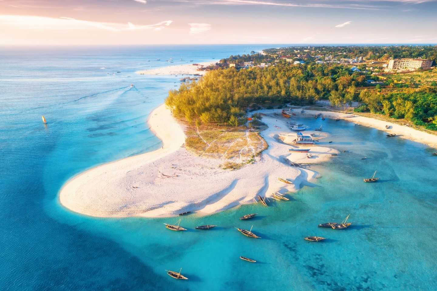 how to plan a safari in Tanzania