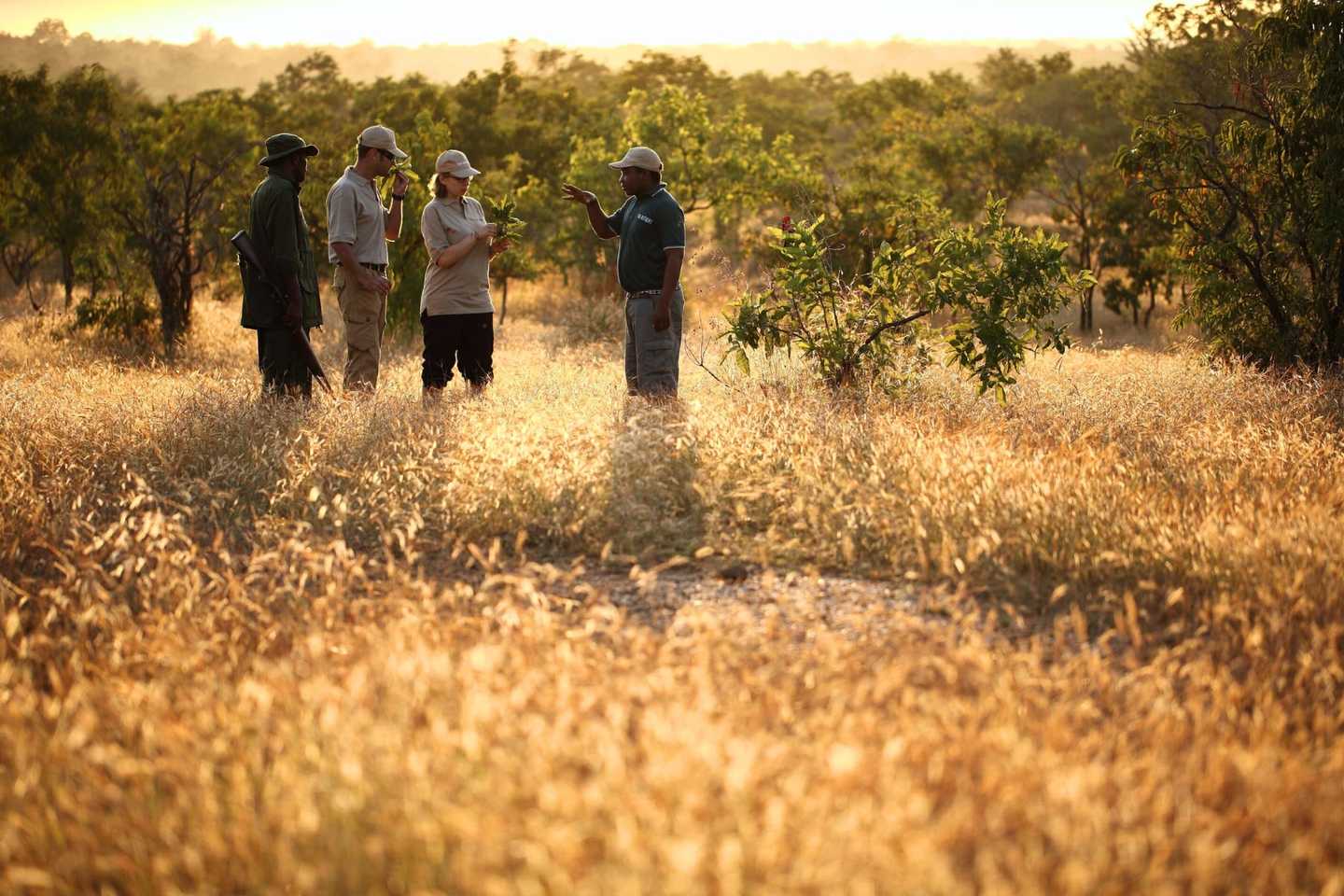 how to plan a safari in Tanzania