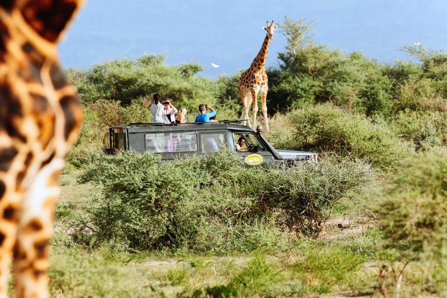 Tanzania and Zanzibar