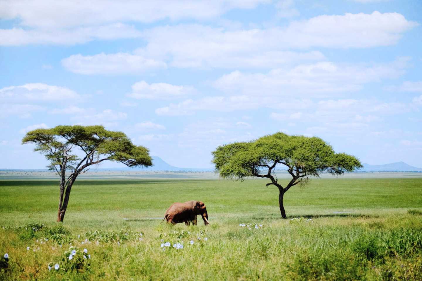 Tanzania and Zanzibar
