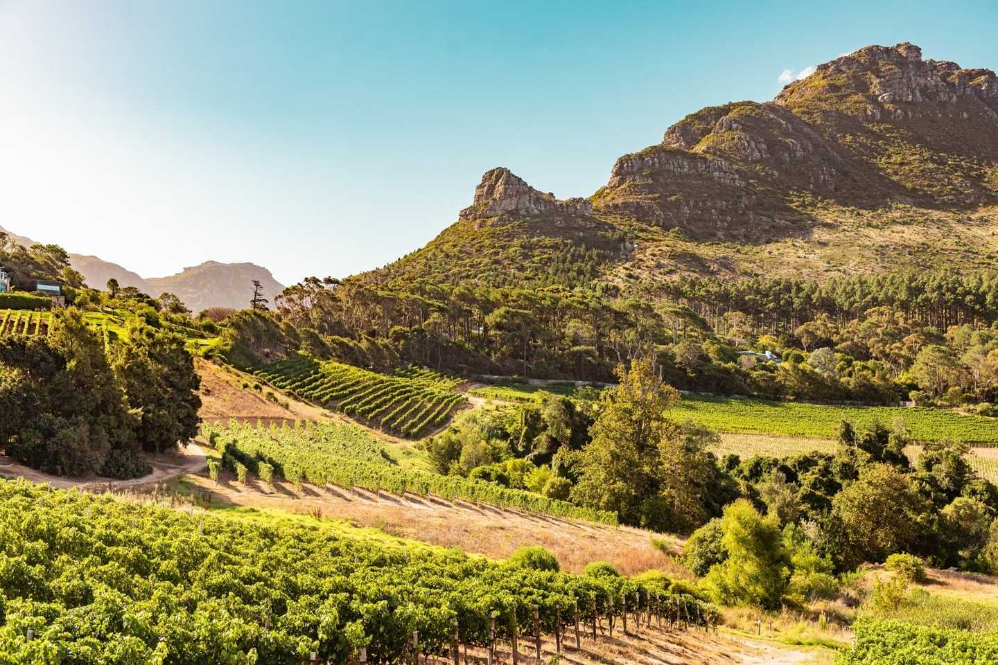 top experiences in Cape Town