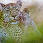 One of the best travel experiences we have ever had