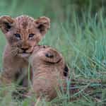 Great Planning Experience