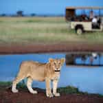 Unforgettable experience!