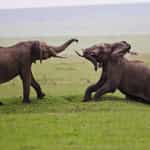 Timbuktu provides exceptional service!