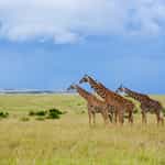 Timbuktu makes your Dream Trip come true!!