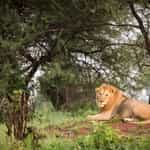 Top notch vacation experience