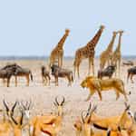 Making a personal holiday - together