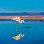 All in all very good, experience with Timbuktu travel. Very professional.