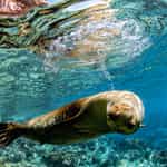 The Perfect Galapagos Adventure