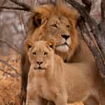 Timbuktu gave us the best honeymoon trip ever. Highly recommend trying them