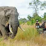 Timbuktu is the way to go!