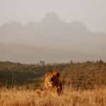 Annie has planned a safari to fit my travel style