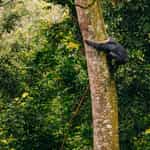 Wonderful Experience!!