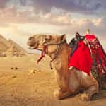 Great trip to Egypt thanks to Timbuktu