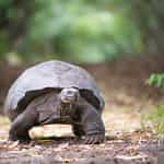 Makes travel planning easy