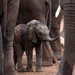 Extremely professional