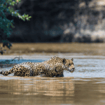 Third time using Timbuktu and working with rep Kristin J