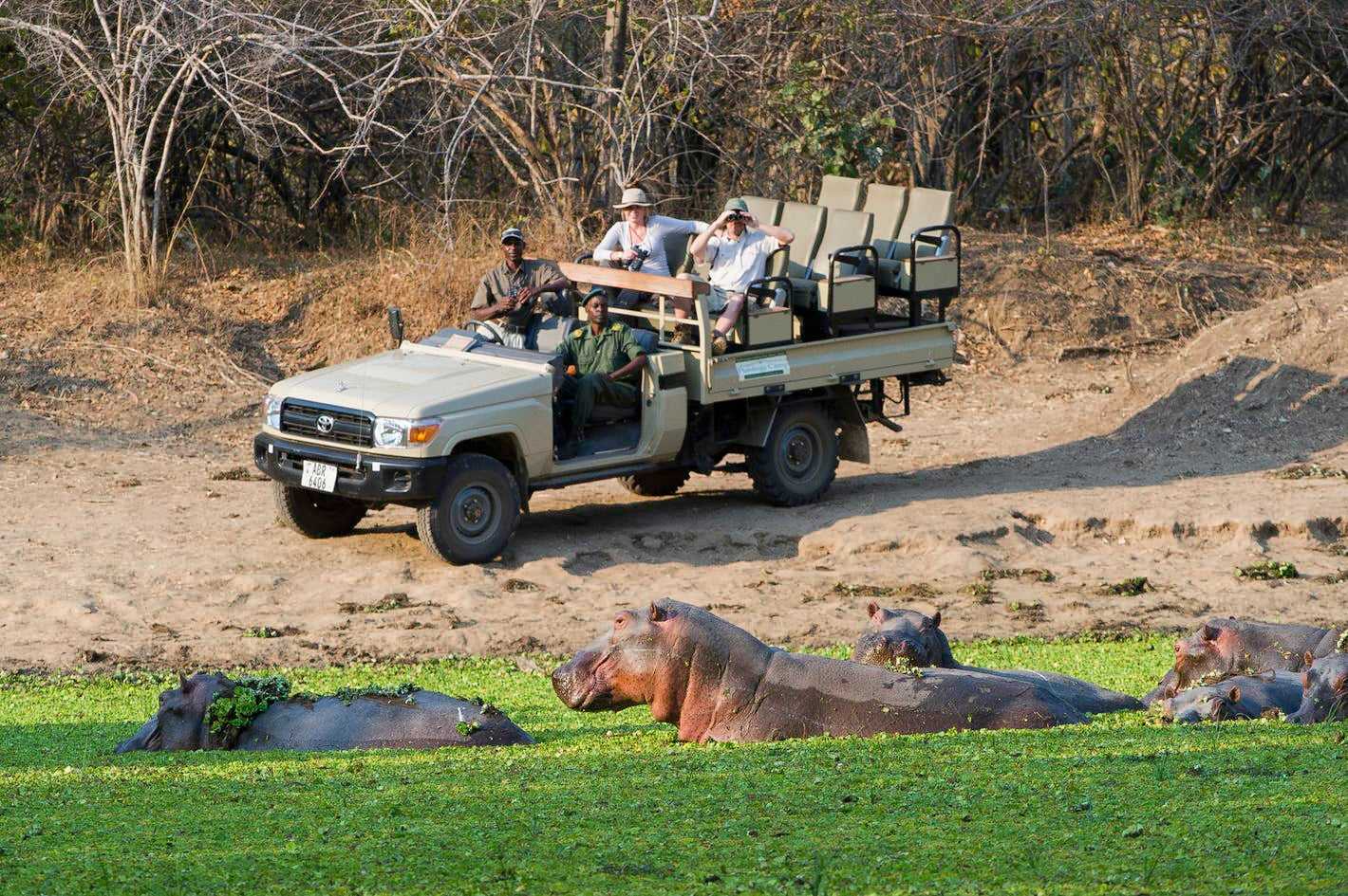 How to plan an affordable Zambia safari
