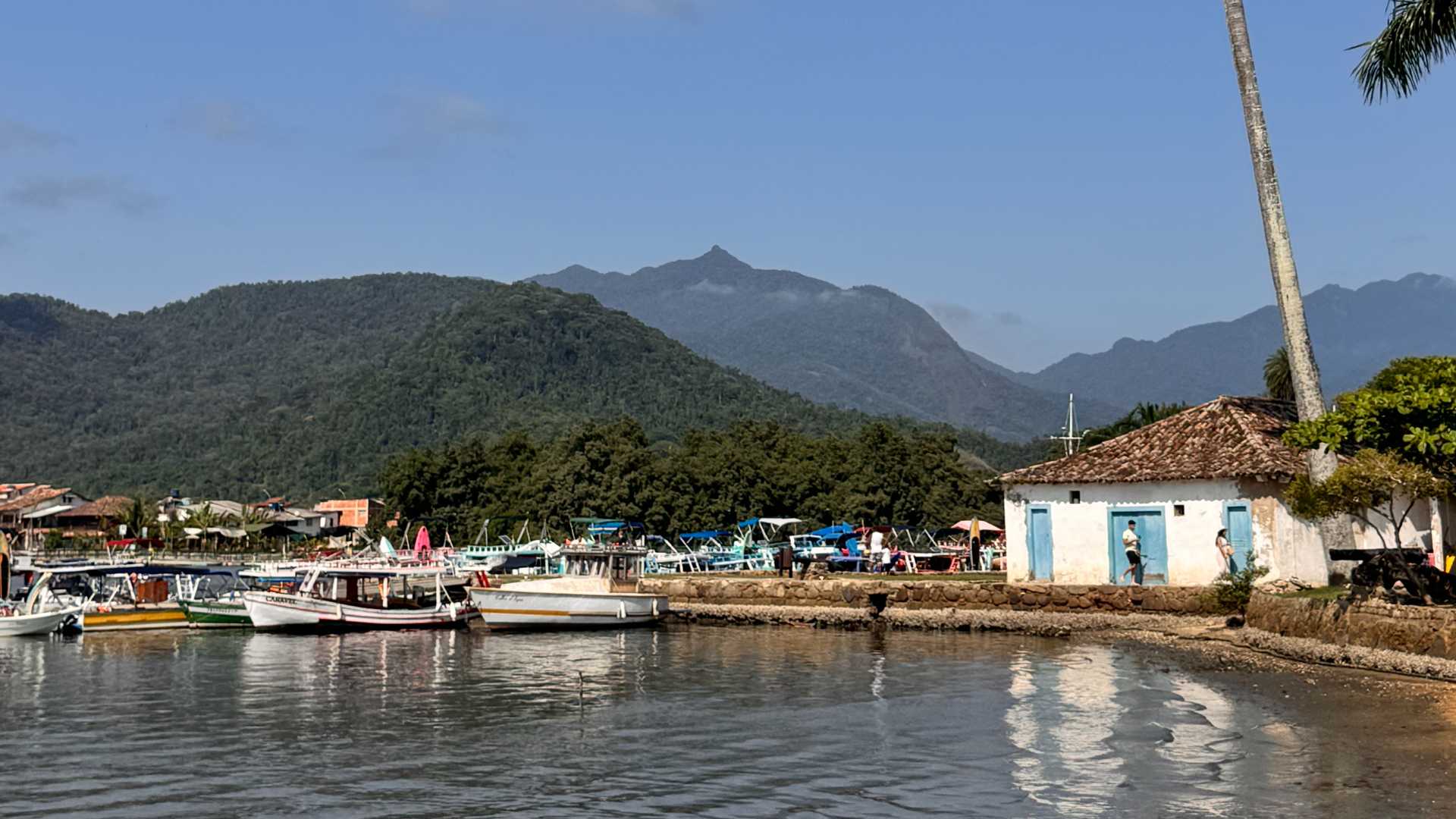 Join Carola in Brazil