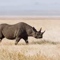 Fantastic trip with excellent service!