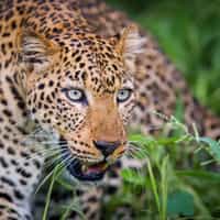 Another amazing trip with Timbuktu