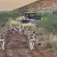 Timbuktu designs your trip so it is exactly what you want to see and do!