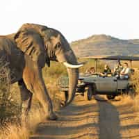 Will use them again!