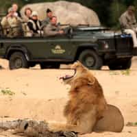 Amazing Vacation Thanks to Timbuktu