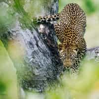 Highly recommend Timbuktu! It made the booking experience 1000% easier.